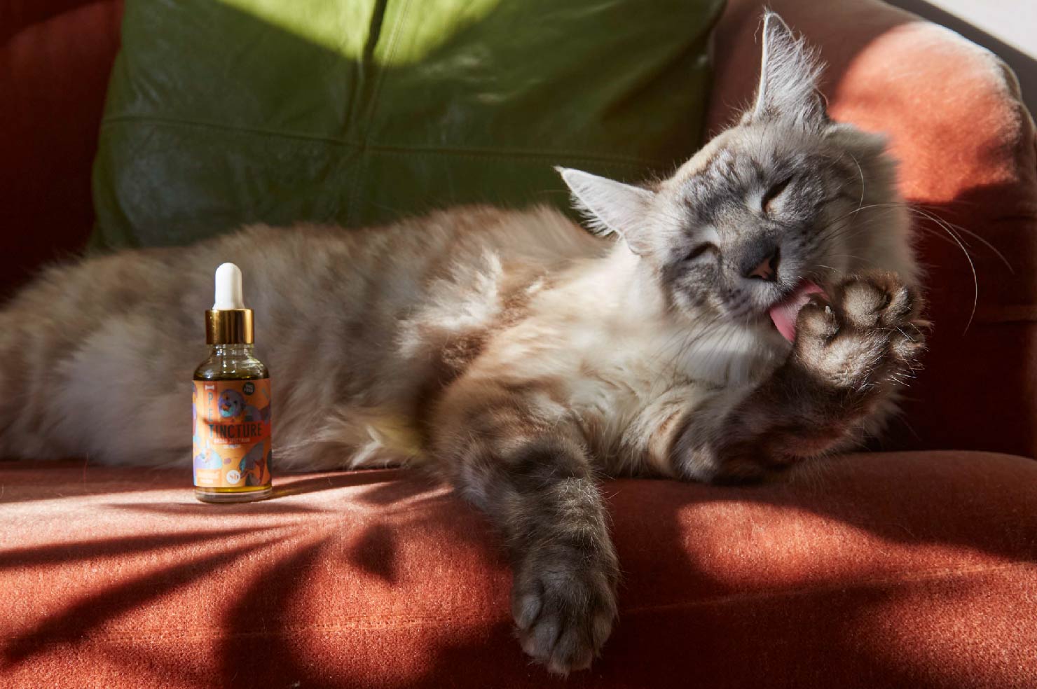 CBD Pet Tincture